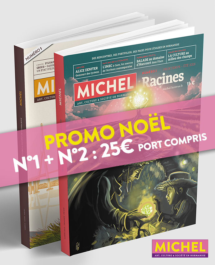 Promo Noël, lot MICHEL N°1 +N°2